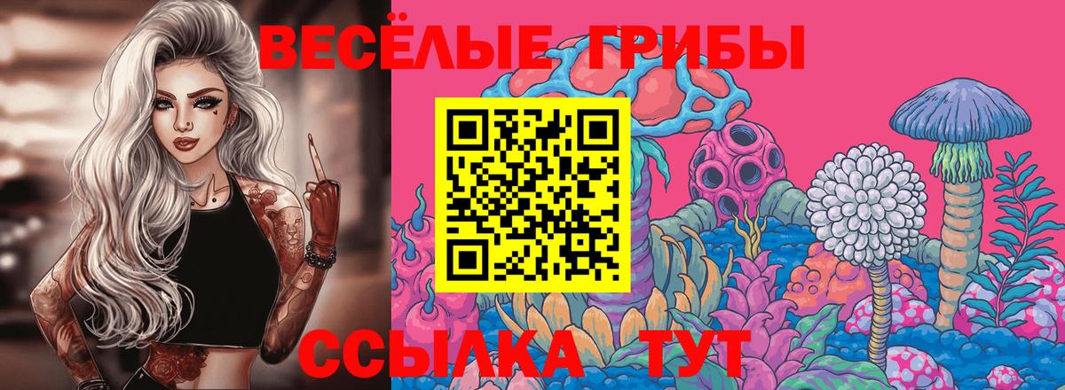 Майский  Псилоцибиновые грибы мицелий  где продают наркотики  Вход с VPN 